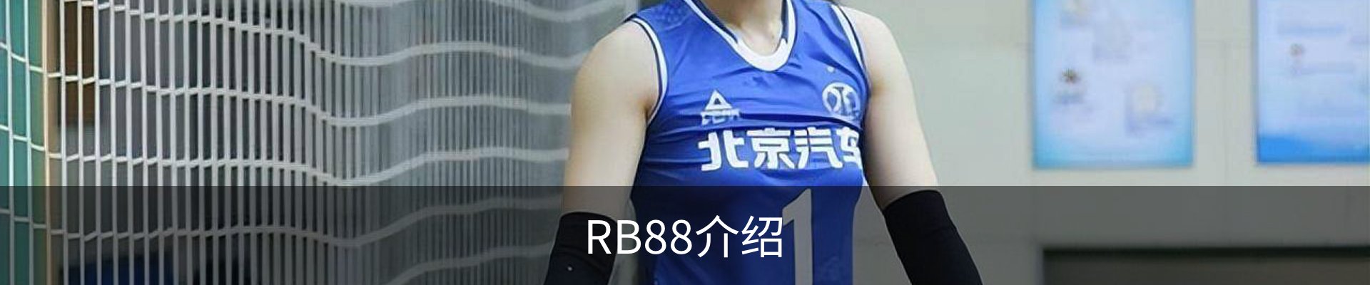 RB88介绍